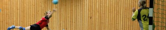 Temabilde tilskuddsordninger Temabilde tilskuddsordninger